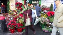 Report TV - Kombinimi luleve për festa - Lulja e Krishtlindjeve e kombinuar me lule të tjera