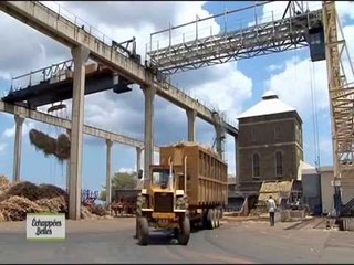 Maurice et Rodrigues - Echappées belles