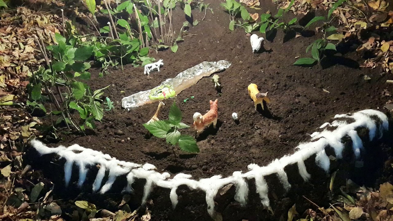 Dönüşüm StopMotion Denemesi