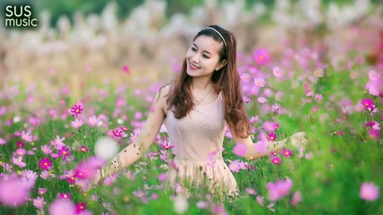 The Wordless music - Melody Music Lives #2
