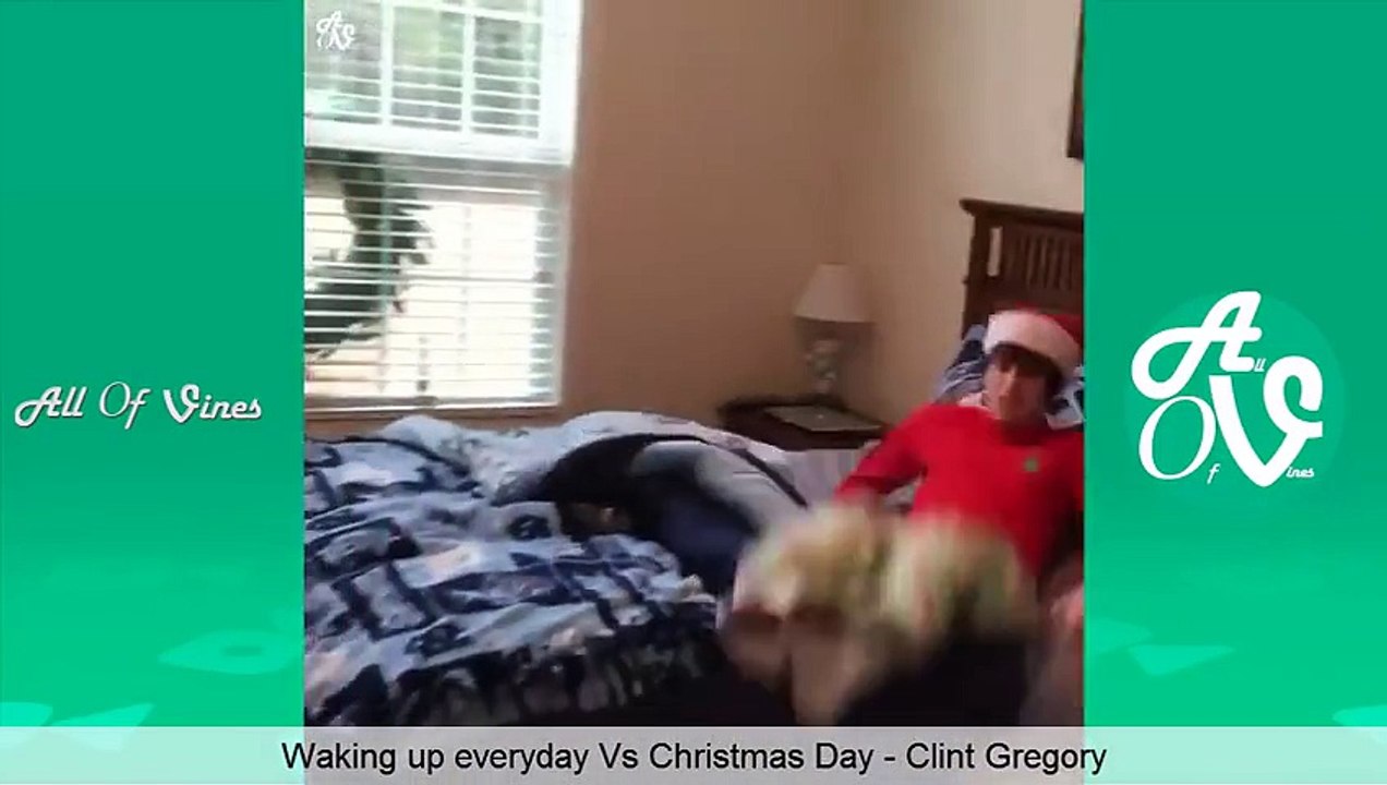 Funny Vines December 2015 Vine Compilation Funniest Vines