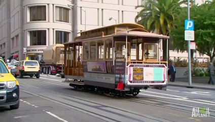 Cat and Dog NOT Living in Harmony _ My Cat From Hell (1)