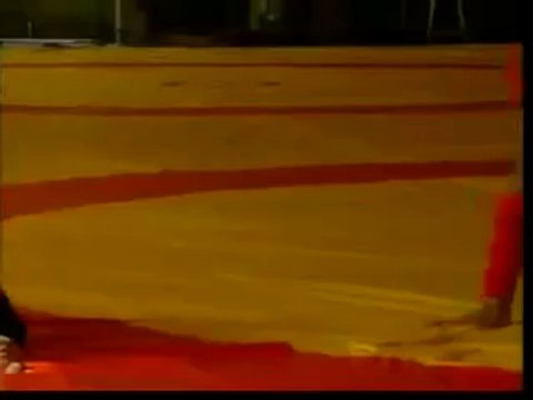 taolu la masi du kung fu