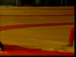 taolu la masi du kung fu