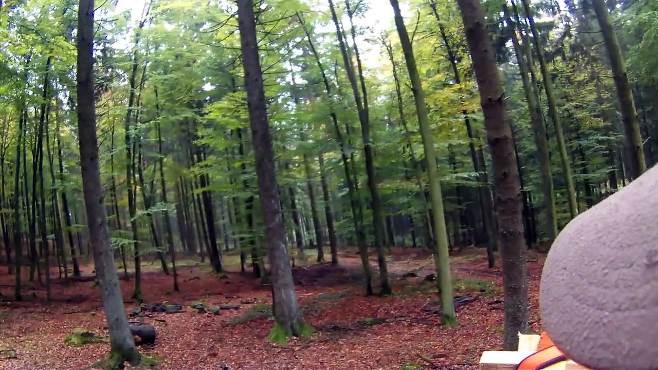 Drückjagd 17.10.2015