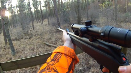 Chasse au sanglier - Très Belles Actions