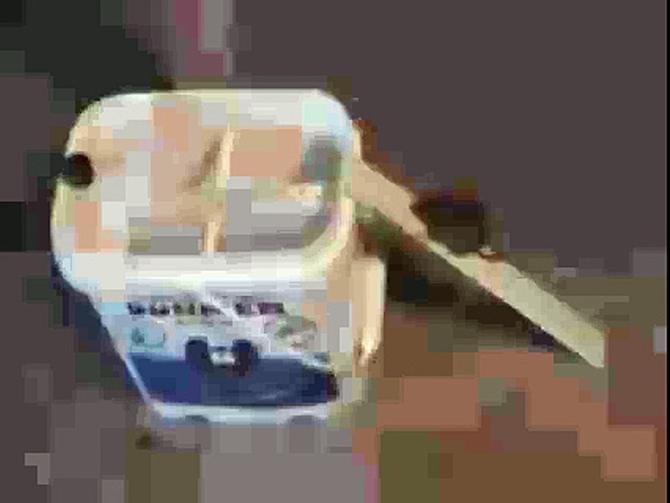 funny mouse videos