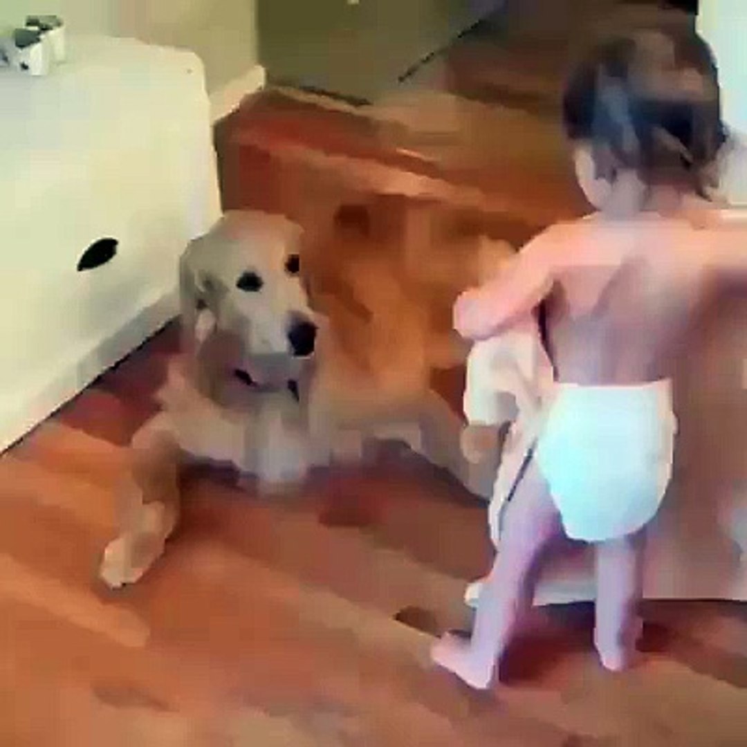 ⁣Baby cares about pet