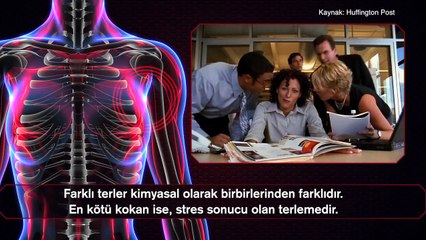 Vucudumuzla İlgili Yanlış Bilinen 10 Gerçek