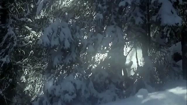 Лучшая короткометражка в мире. Не пропусти