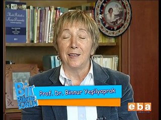 Ergenlik Döneminde Kendini Tanıma ve Geleceği Planlama