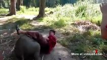 Слонёнок тоже хочет делать обнимашки