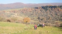 DOM.20-12-15: ESCURSIONE SU MONTE CIRIANO NELLA RISERVA DI CANALE MONTERANO SUI MONTI DELLA DELLA TOLFA