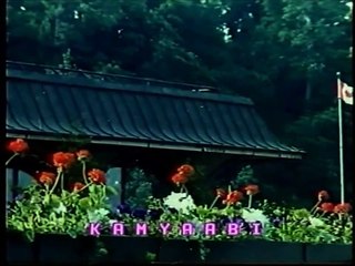 A.Nayyar, Naheed Akhter - Chand Mulaqaton Main - Kamyabi