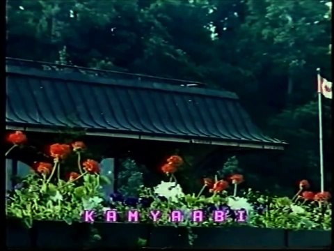 A.Nayyar, Naheed Akhter - Chand Mulaqaton Main - Kamyabi