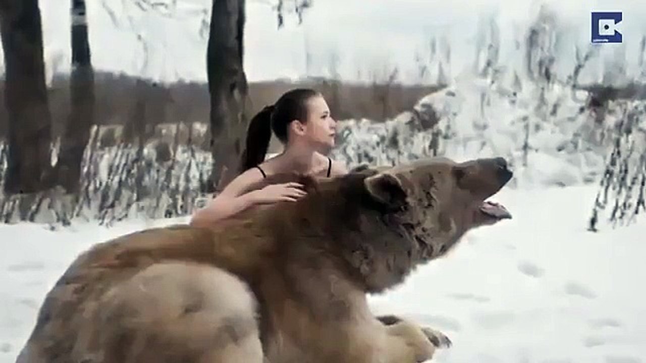 Шокирующая фотосессия  Медведя и девушки