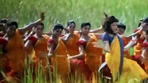 Kajal agarwal In Red Hot Saree | Hot Video Clip