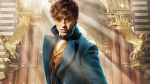 Fantastic Beasts and Where to Find Them Debuts First Trailer