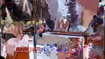 Pashto Video Songs Album 2016 HD 720p Kaliwal Janan Part-1