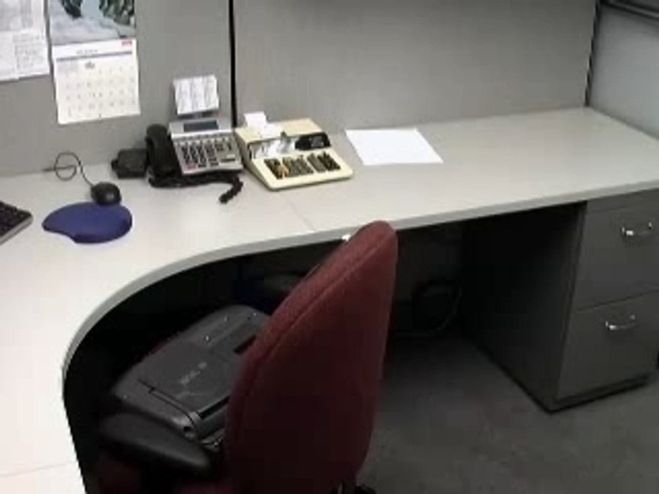 The New Guy