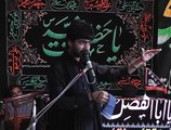 Allama Muntazir Mehdi 20th Muhram 1437(2015) Choti Behak Hafizabad