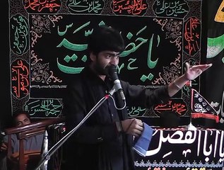 Allama Muntazir Mehdi 20th Muhram 1437(2015) Choti Behak Hafizabad