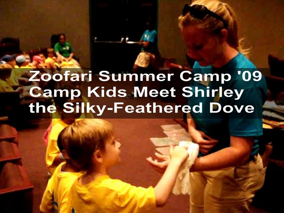 Summer Camp Kids Meet Shirley the Dove