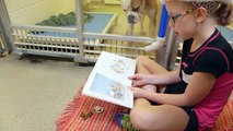 Kids Are Reading To Shelter Pets This Christmas To Help Get Dogs Adopted