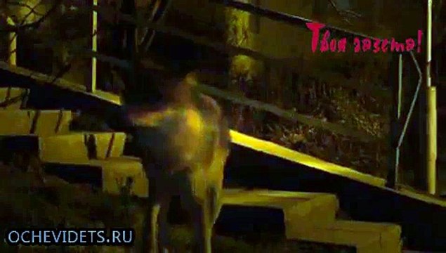 Голодный хищник уже несколько месяцев гуляет по Алуште