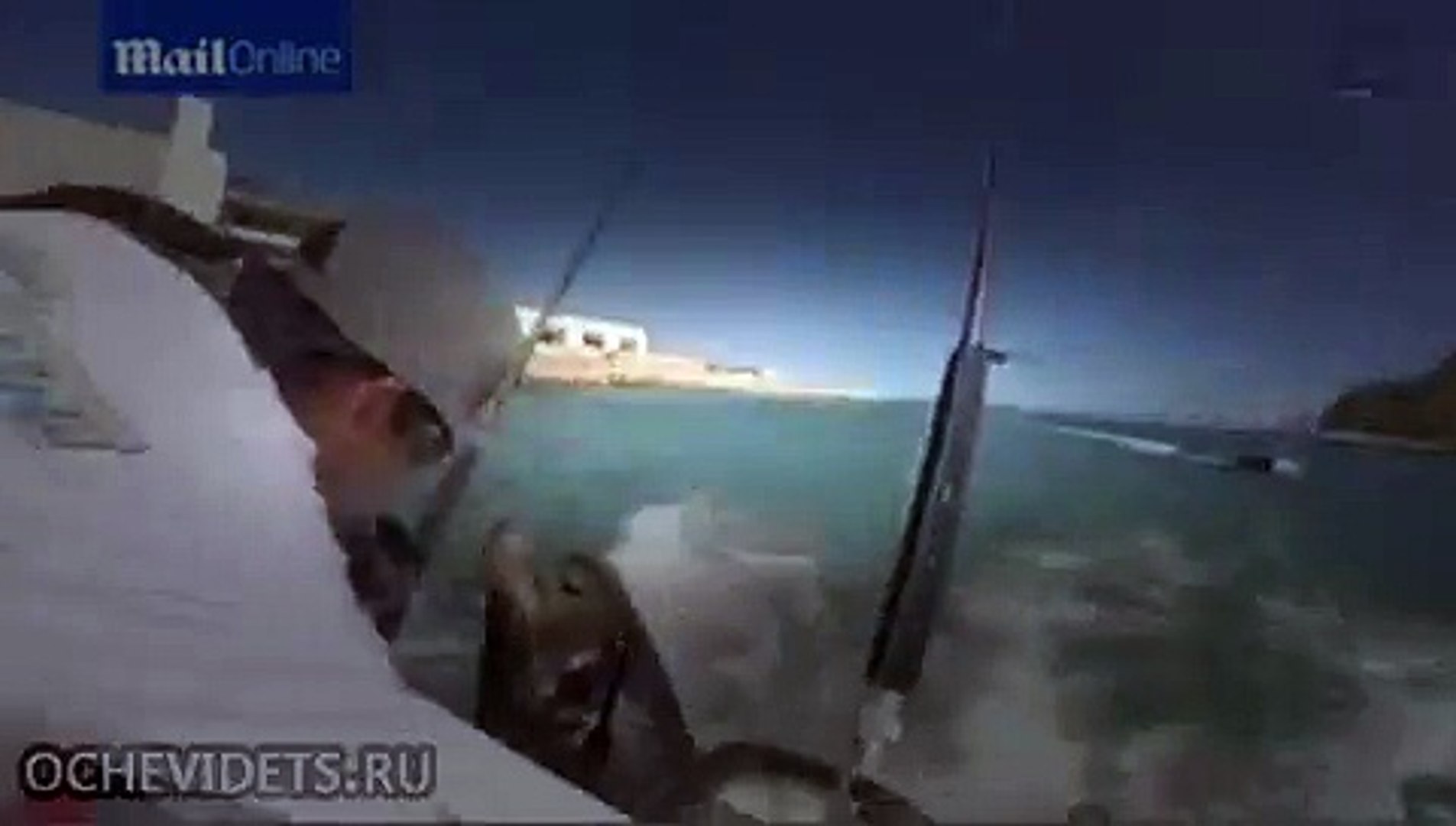 ⁣Самый нахальный в мире морской лев пришел к рыбакам за бесплатным обедом