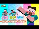 양띵 [실감나는 감정 표현을 해보아요! 감정 표현 모드 체험기 *단편*] 마인크래프트 Emotes Mod