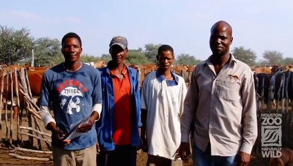 Houston Zoo׃ Protecting Animals in the Wild