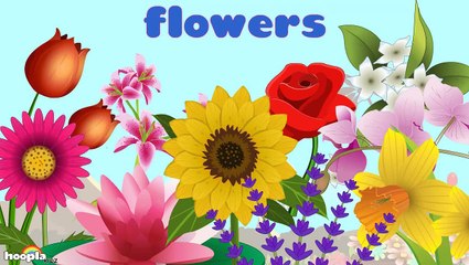 Learn About Flowers Preschool Activity