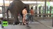 What They Just Did For This Elephant Made Her Smile. Wait Till You See It…