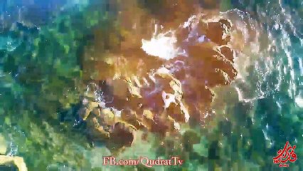 Hasti Pooya - Omrist delam