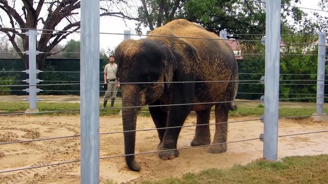 Video Wednesday׃ Shanti, Shanti, Shanti.....