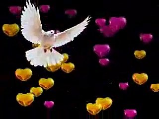 Patnan Tay Bairi Deegar Da - Talib Hussain Dard