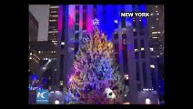 Christmas trees around the world 2015