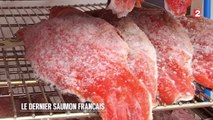 Marchés - Landes : le dernier saumon français - 2015/12/26