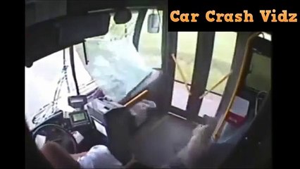 Animals Hit By Cars - Animals On The Road Compilation (18+)