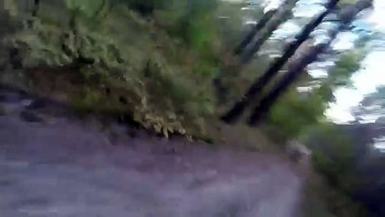 Bear Attack Man is trying to run away from attacking Bear GoPro