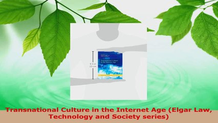 PDF Download  Transnational Culture in the Internet Age Elgar Law Technology and Society series PDF Online