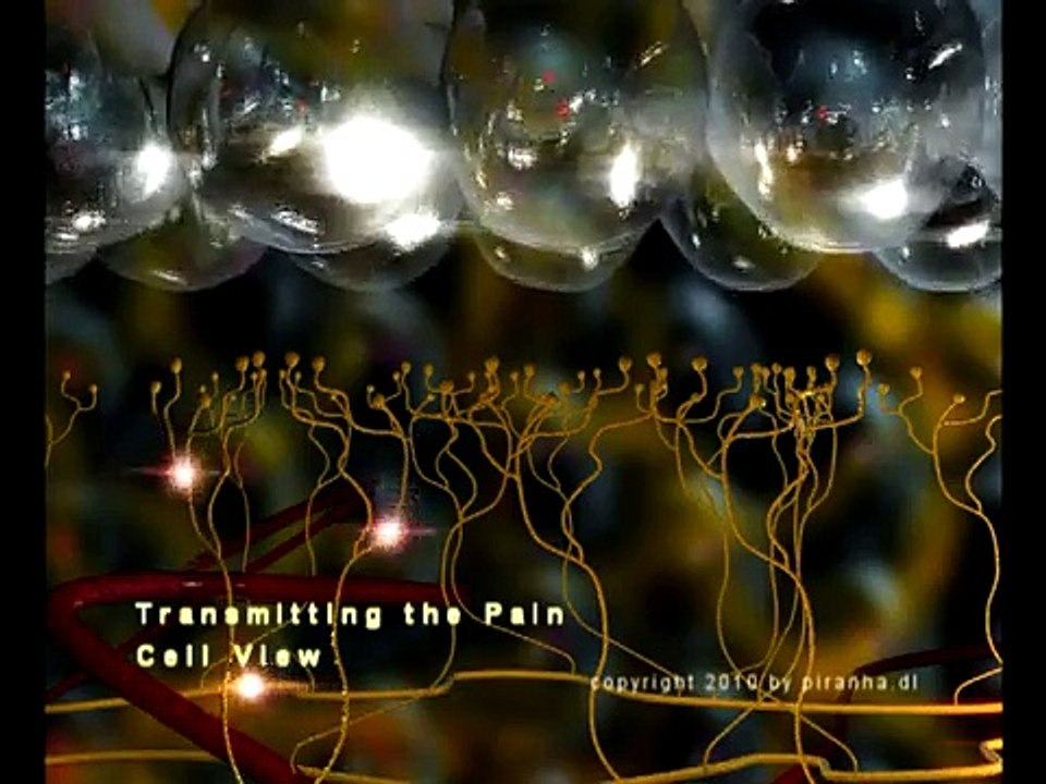 Pain _ Opiates 3D Animation