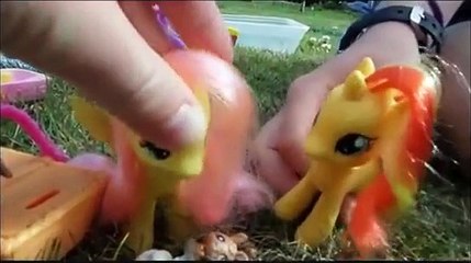 MLP Pool Party