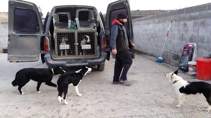 ABİ MÜTHİŞ YA HARIKA