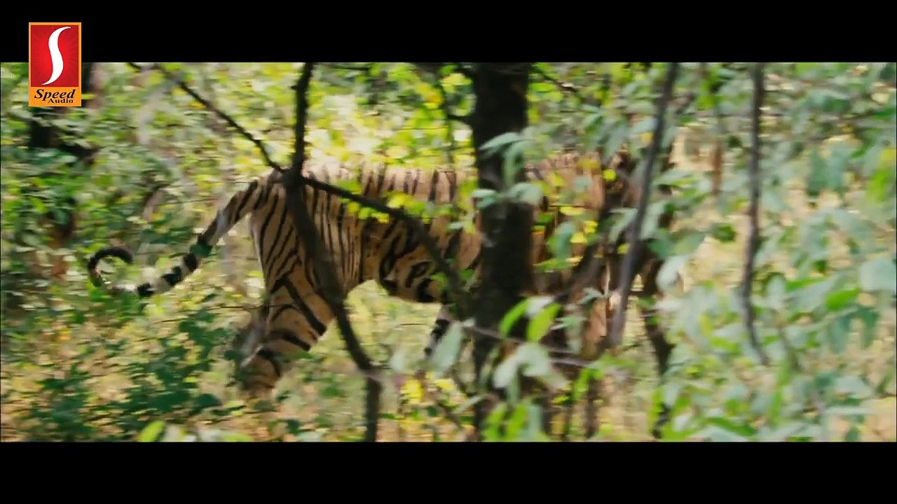 Panivizhum Malarvanam Tamil Movie - Part 9
