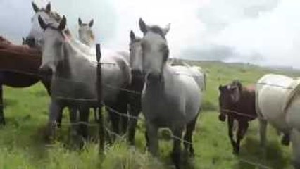 WHOA! SHOCK WAVE UFO High Frequency BLAST!!? Flying Saucer UP-Close VIDEO & RAW Sound! 2015
