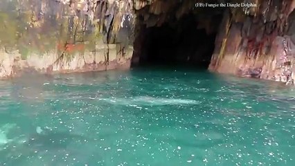 Kamyonun Üzerine Tünel Yapılırsa !