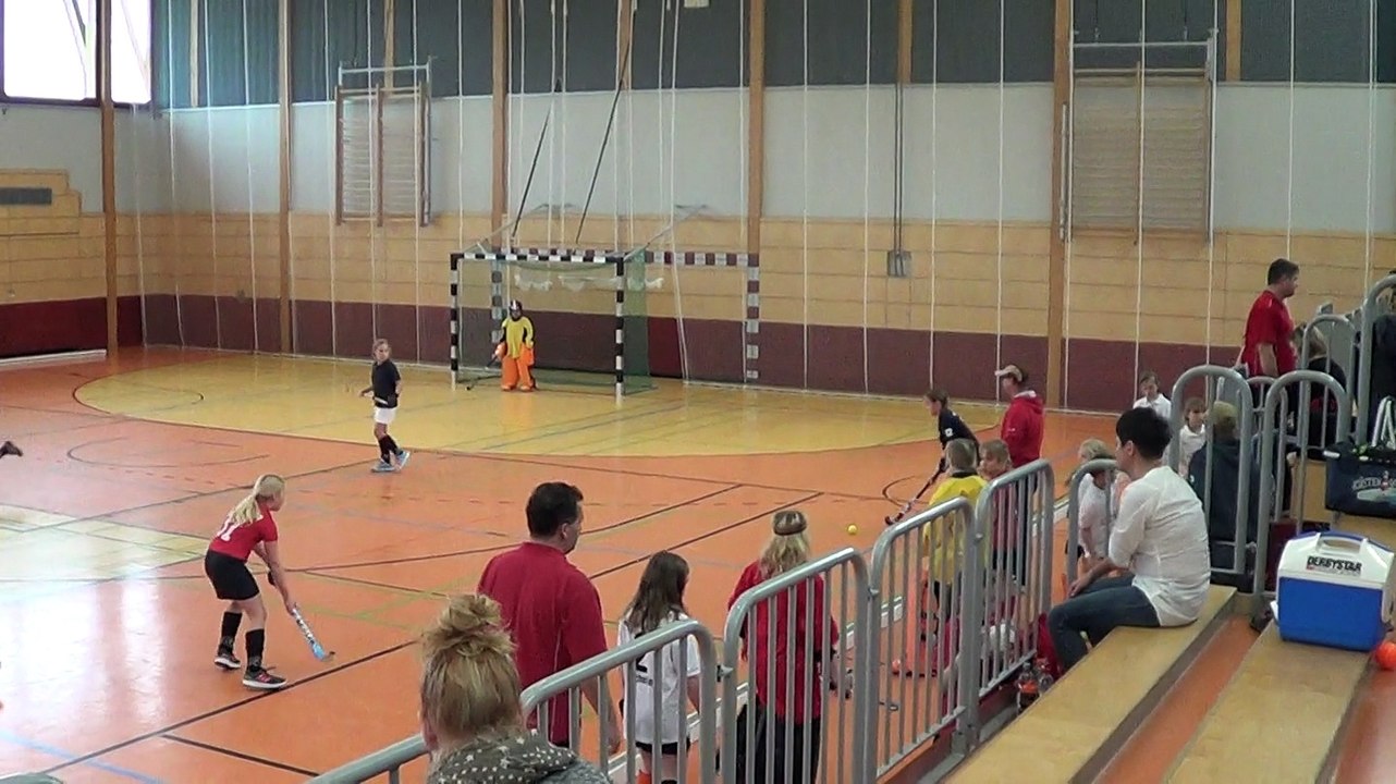 Hockey TSV Falkensee vs. Potsdamer Sport Union