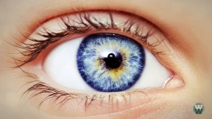 30 Amazing Facts You Didnt Know About The Human Body